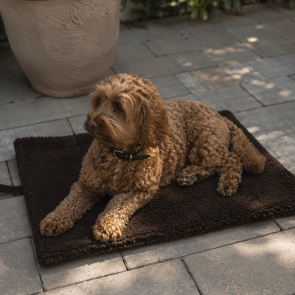 Faltbare Hundedecke darkbrown