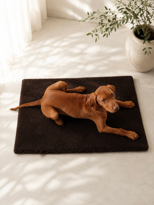 Faltbare Hundedecke darkbrown