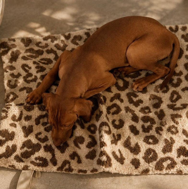 Foldable dog blanket leopard print