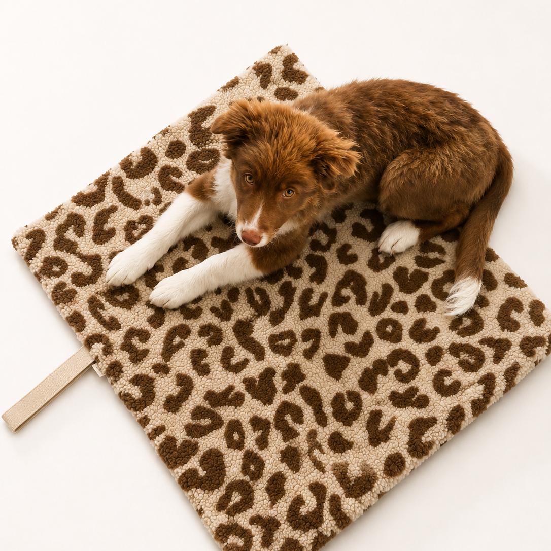 Faltbare Hundedecke leo